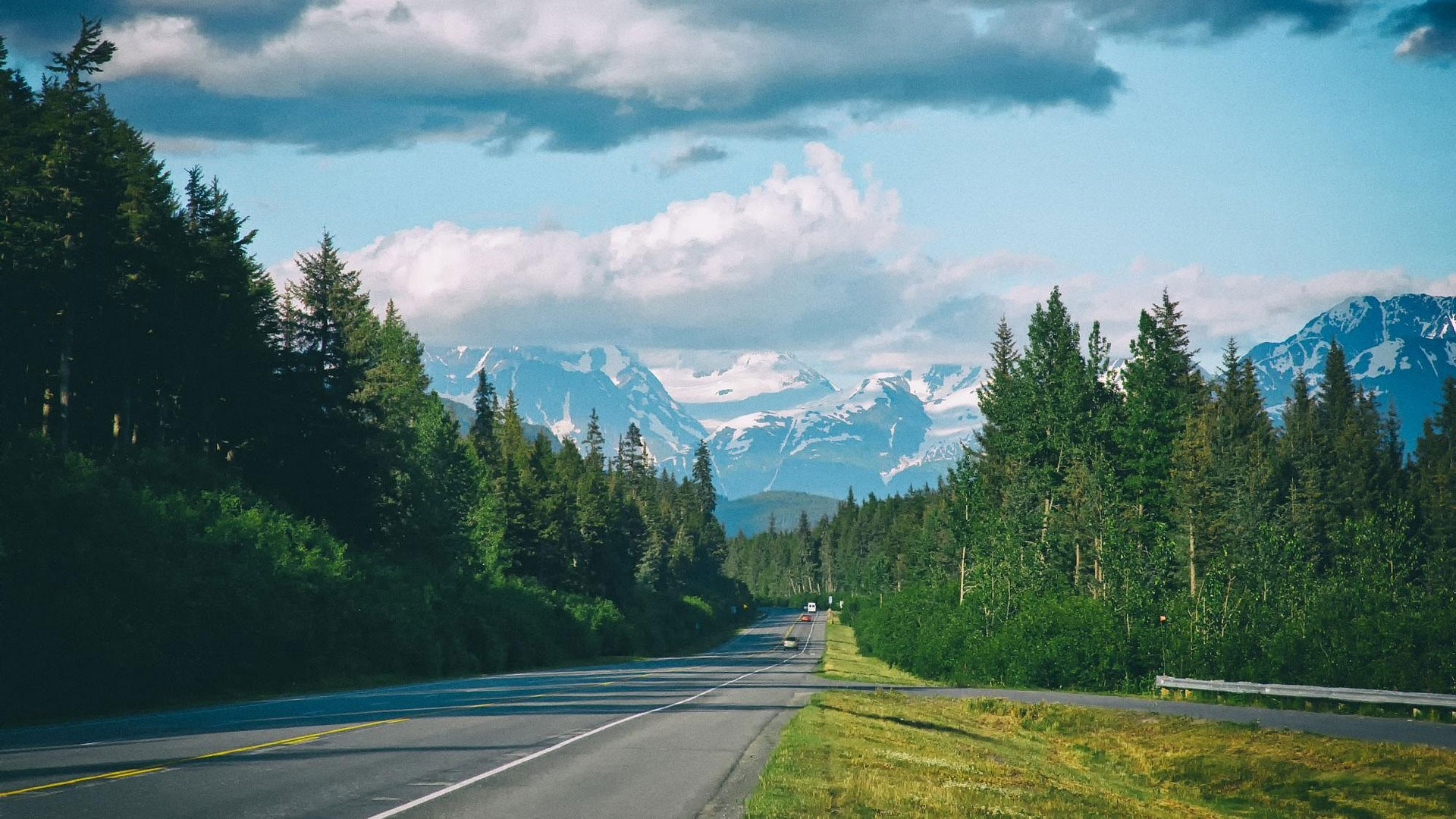 Rural highway surrounded by trees