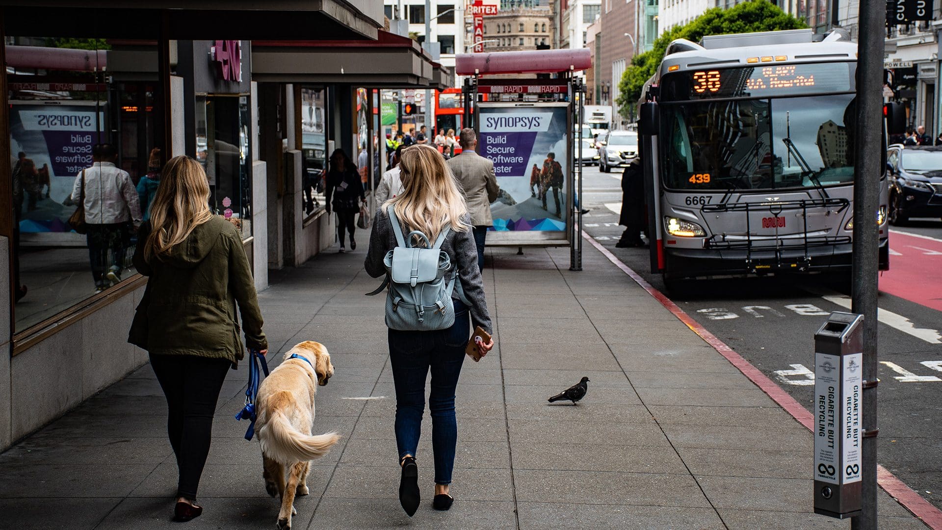 Two people and a dog walking through San Francisco