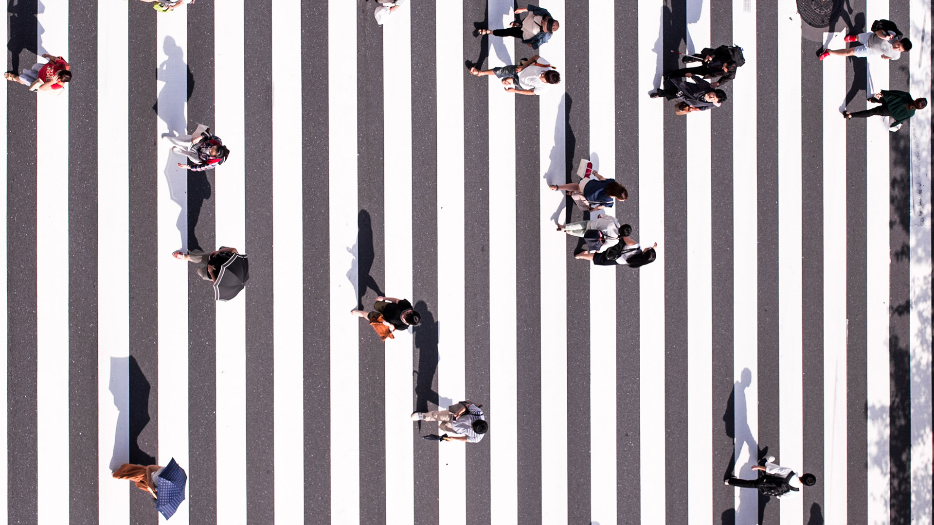 aerial view of people walking across a crosswalk