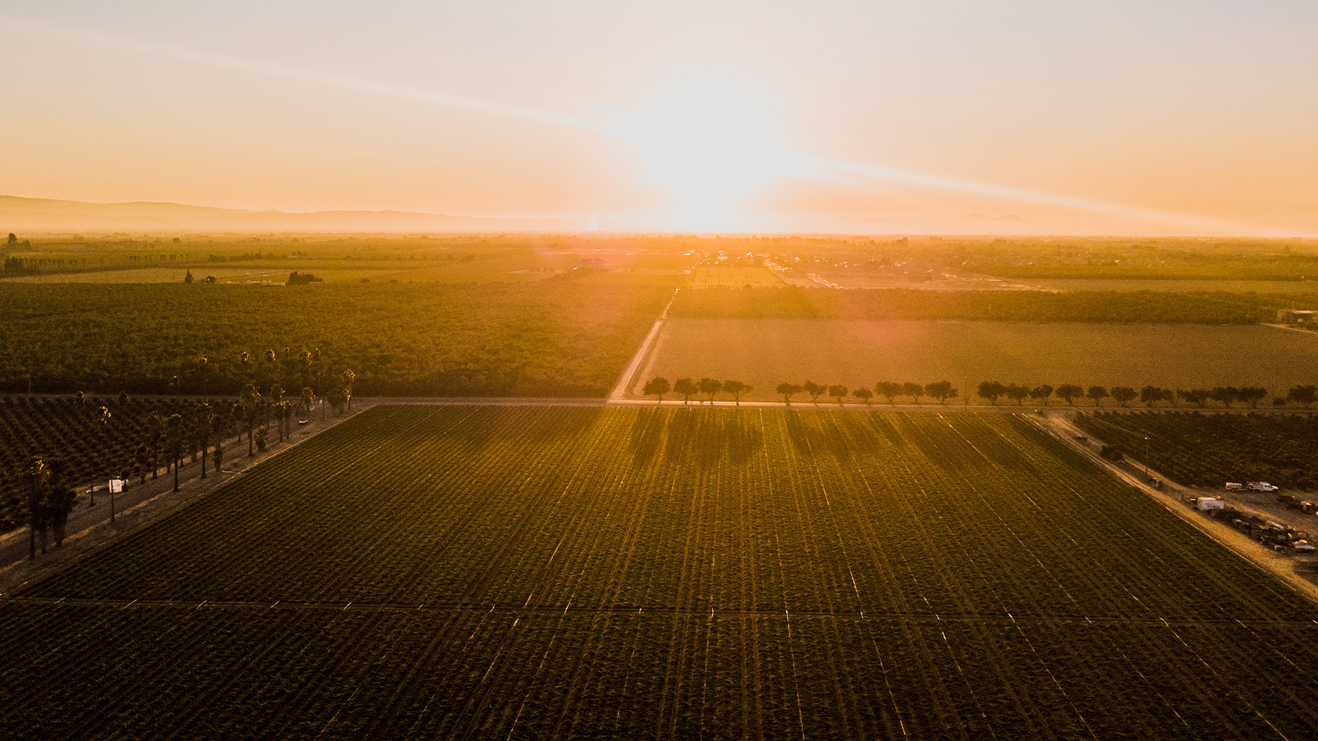 Aerial Shot of San Joaquin Valley