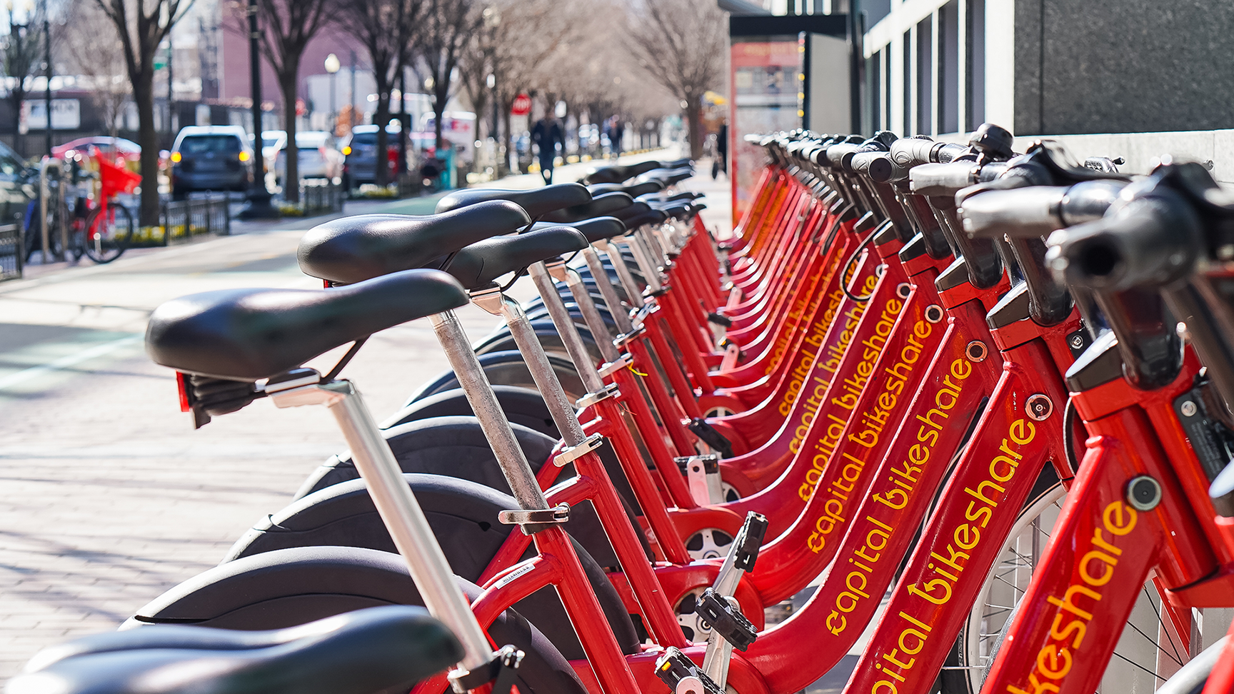 Row of Capital Bikeshare bikes