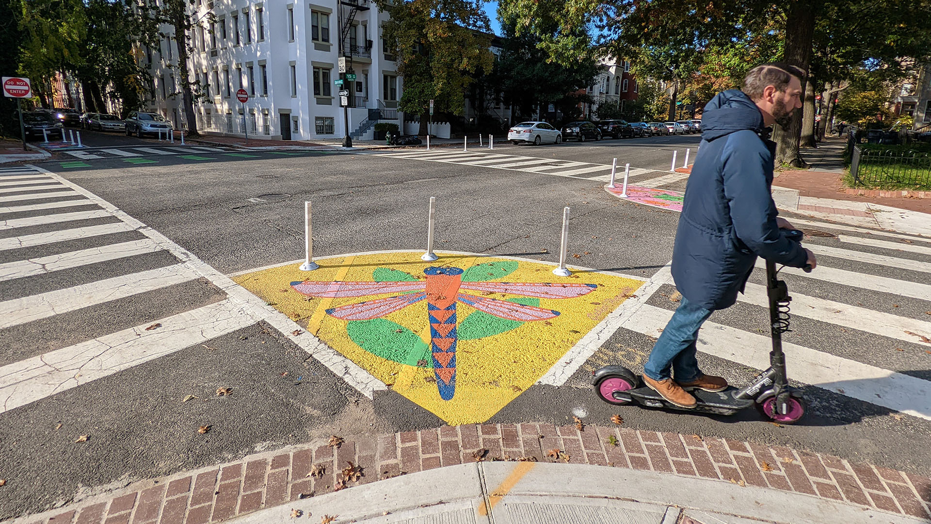 D.C. curb extension artwork