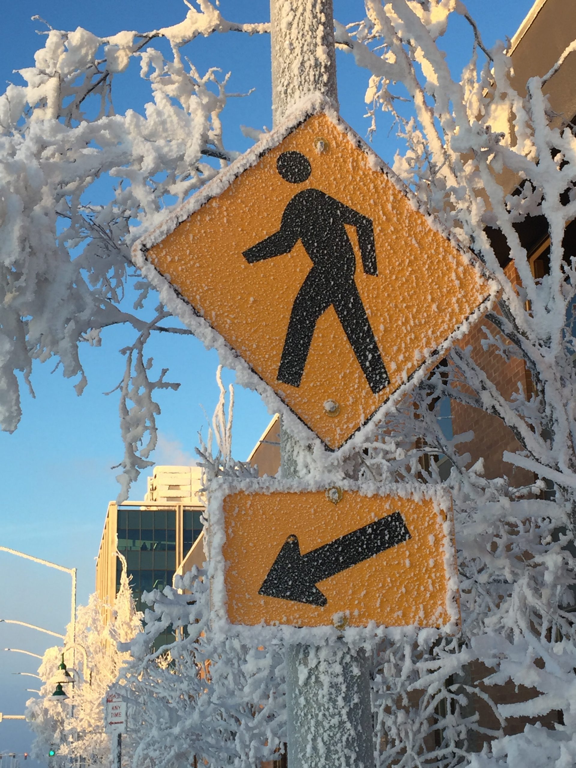 Yellow pedestrian crosswalk sign covered in snow.