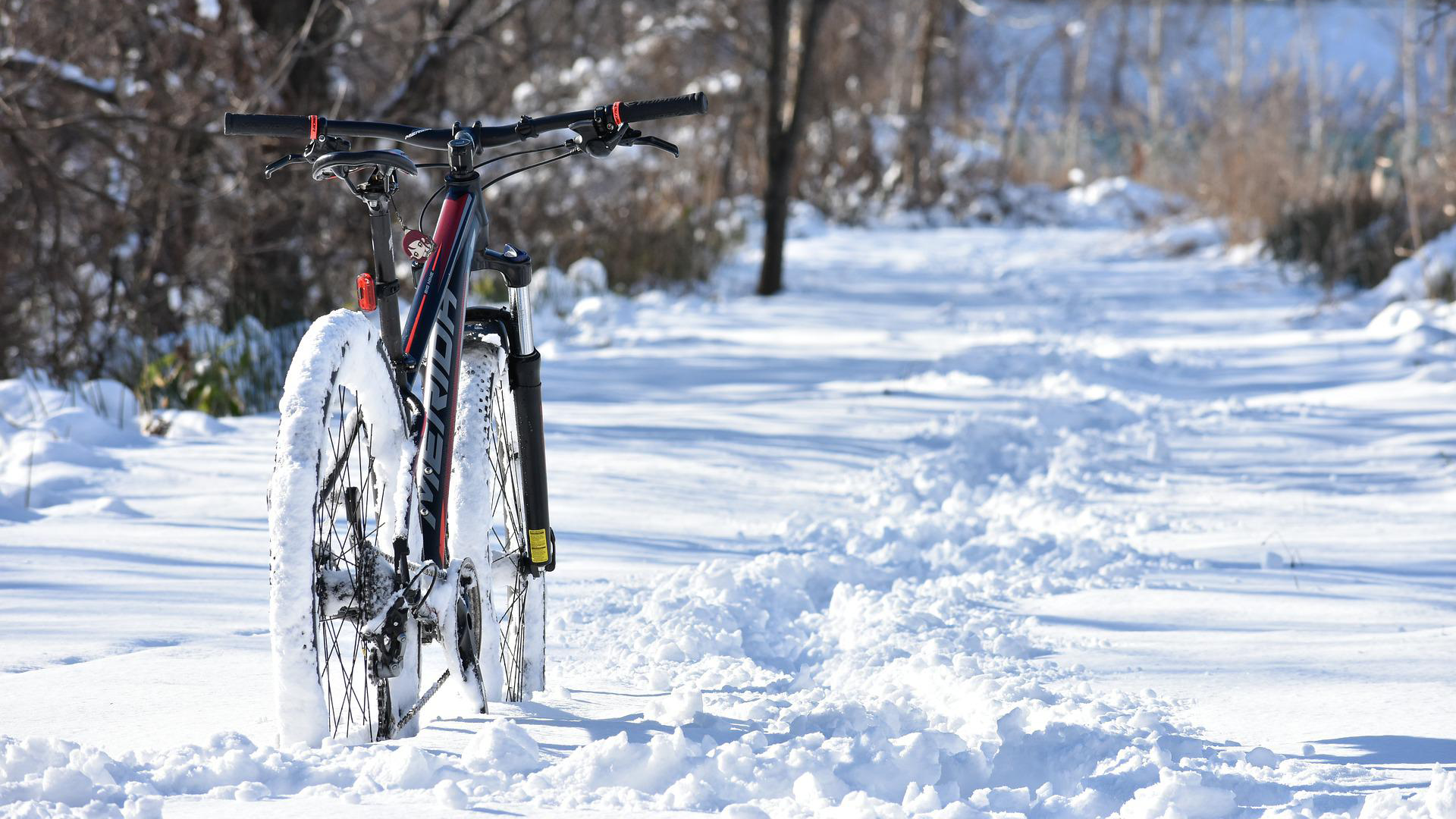 Bike stuck in snow
