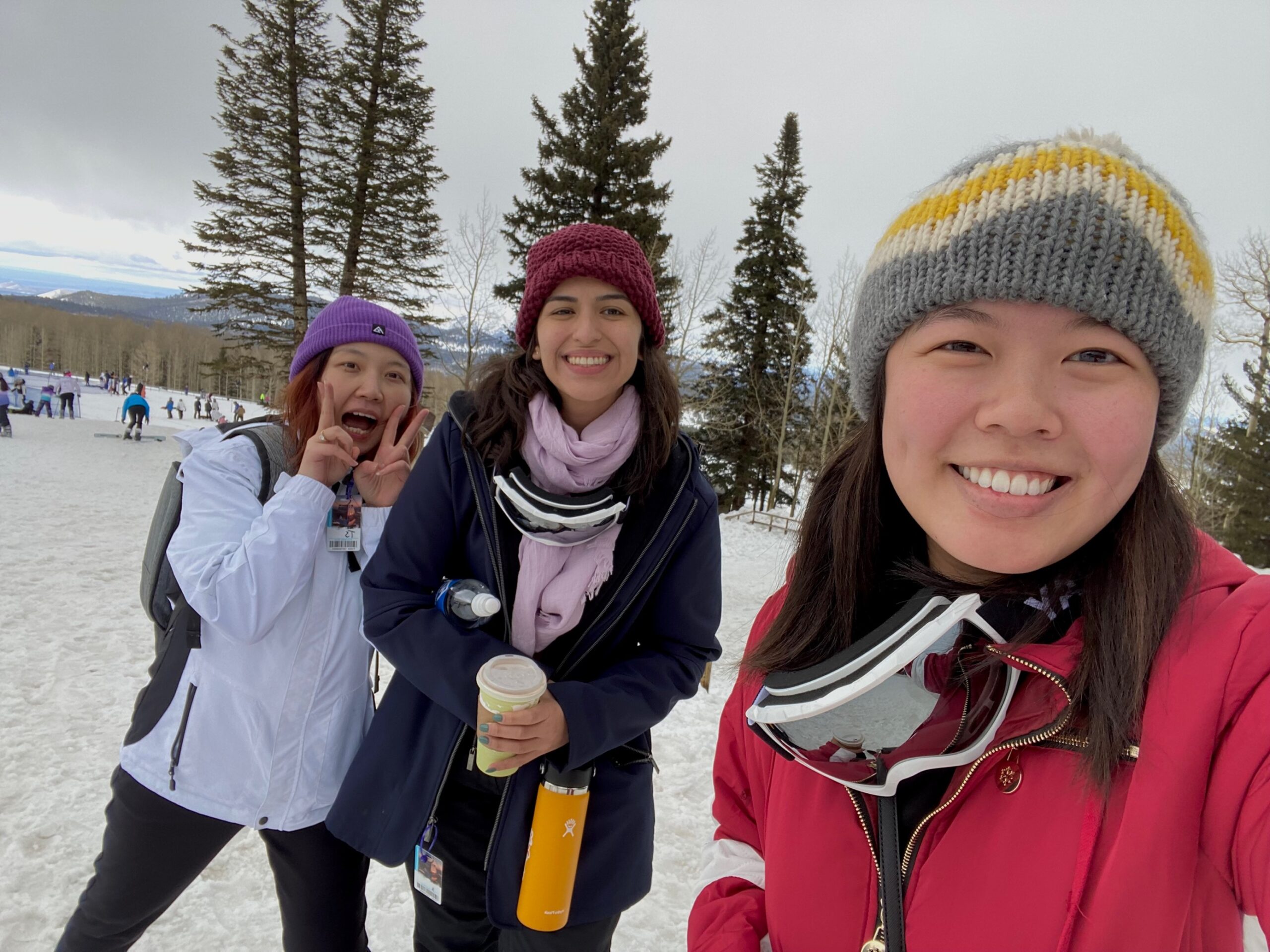 Three people taking a selfie in front of a snowy landscape.