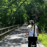 Person riding bike on a tree-lined trail