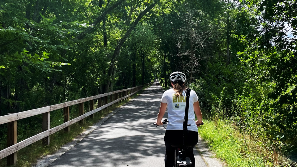 Person riding bike on a tree-lined trail