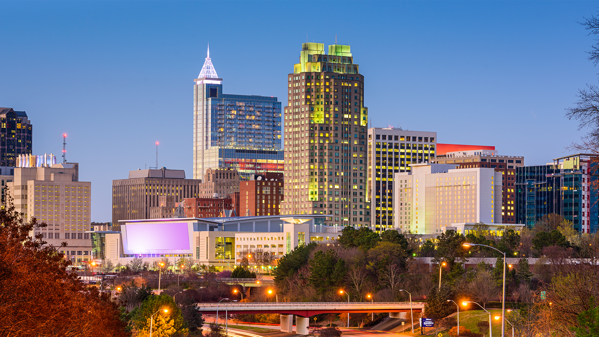 Raleigh Skyline