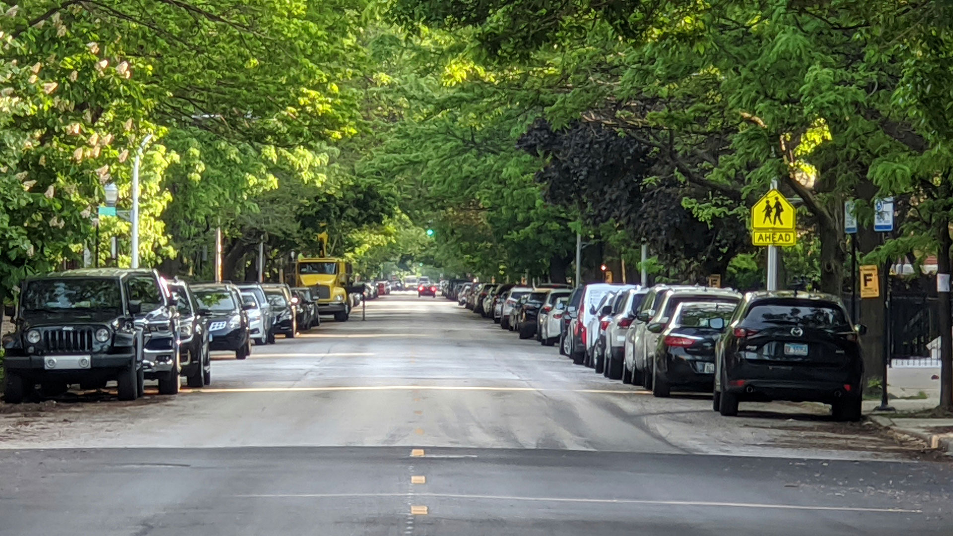 Street lined with parked cars with tree canopy overhead