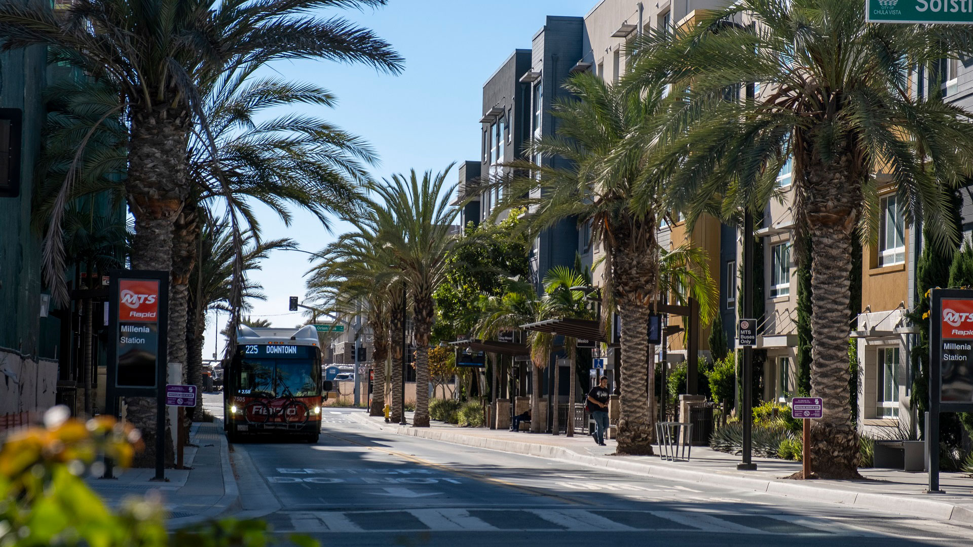 Bus driving along a street lined with palm trees