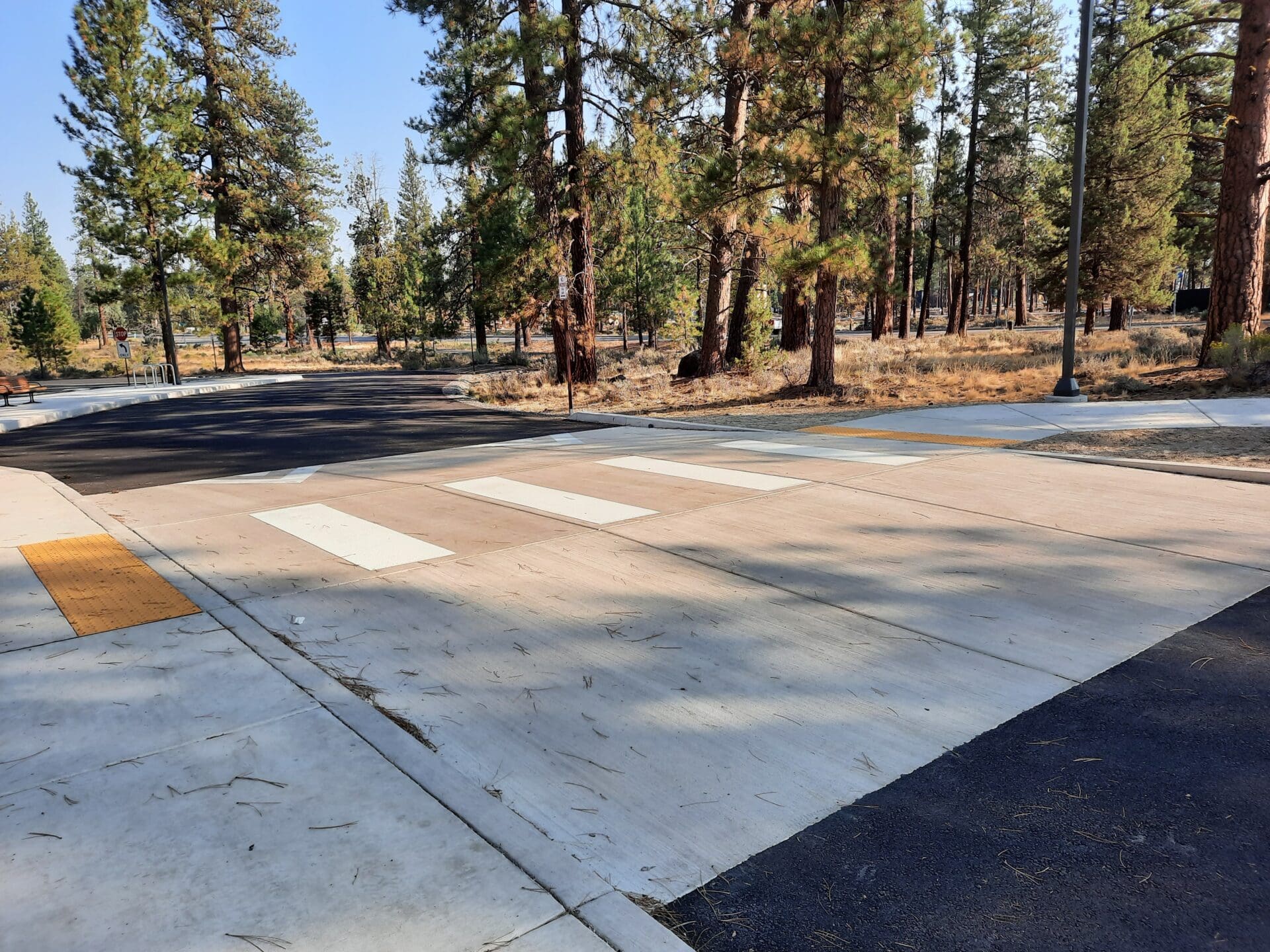 Pine trees cast shadows over a freshly striped crosswalk with yellow tactile warning devices for pedestrians with vision disabilities.