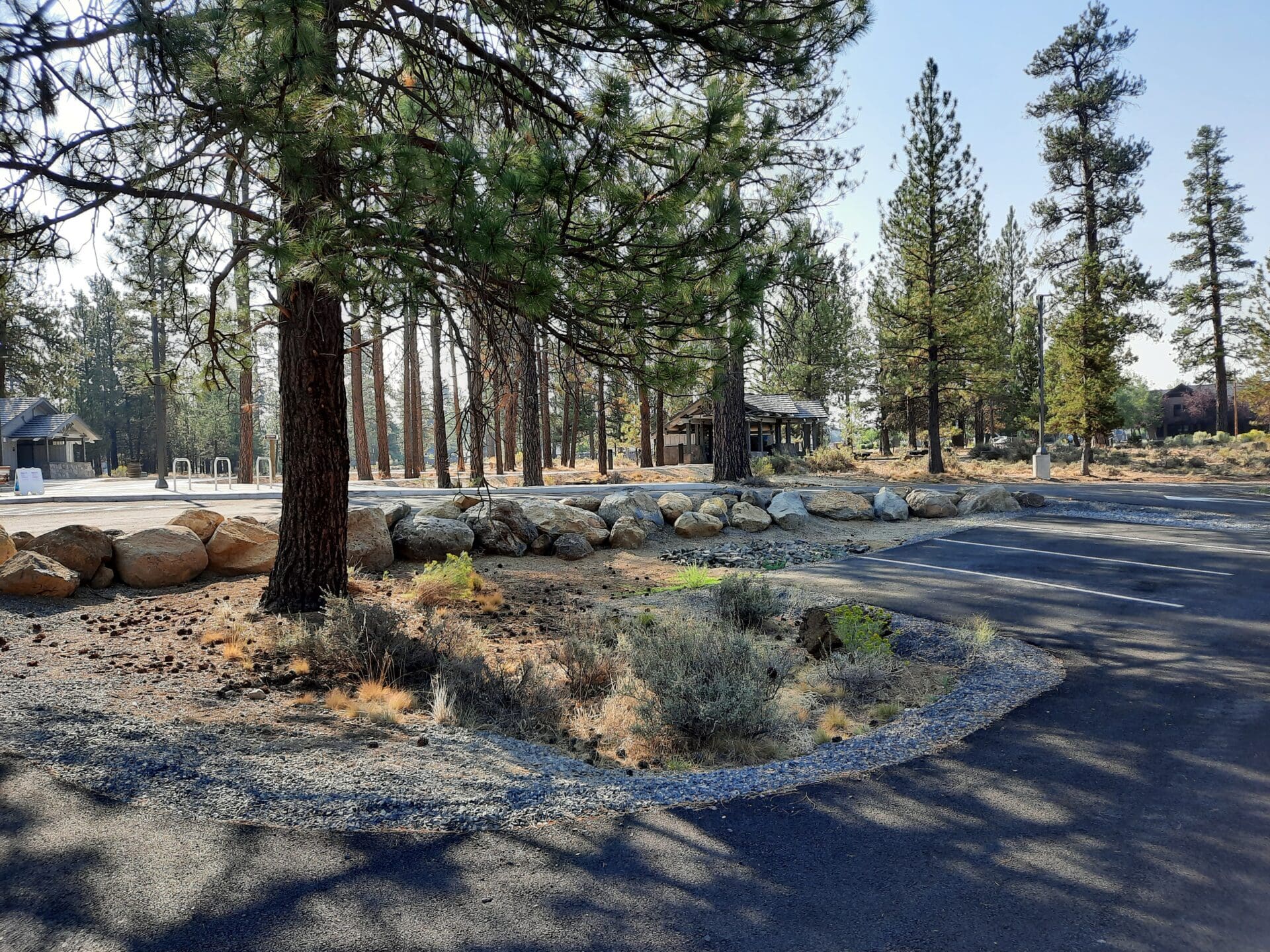 Pine trees cast shadows over landscaping and a parking lot. Large rocks create picturesque dividers between parking areas.
