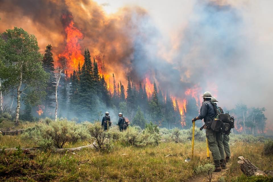 Three firefighters in protective gear stand at the foot of a burning hillside while smoke and flames billow up from the trees ahead.