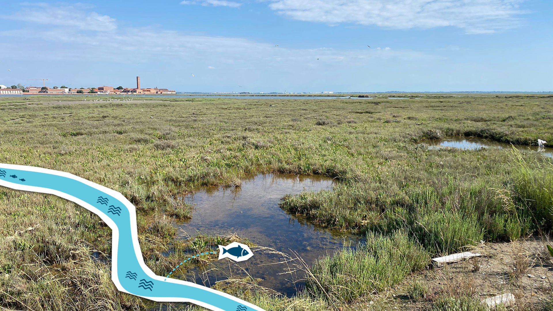 Photograph of a marshland with patches of water and green vegetation under a partly cloudy blue sky. A distant building with a tall chimney is visible on the horizon, highlighting a natural wetland environment near a developed area.