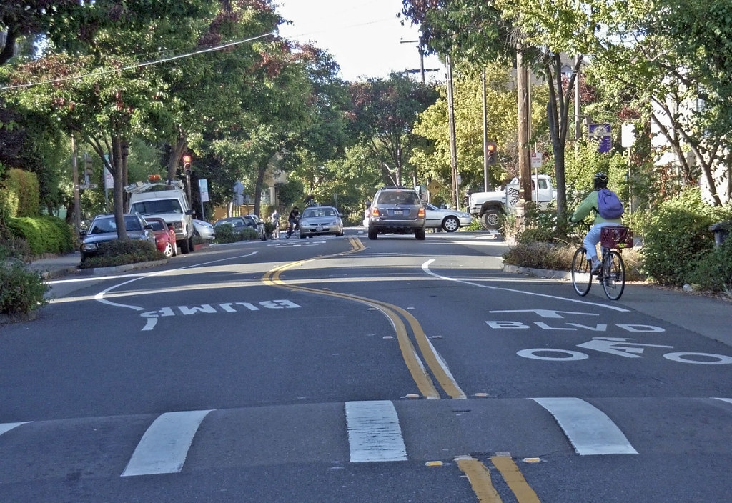 Photograph of a residential street featuring a speed bump marked with white paint and a cyclist riding in a designated bike lane on the right side. The street is lined with trees and parked cars, with clear road markings including double yellow center lines and bike lane symbols.