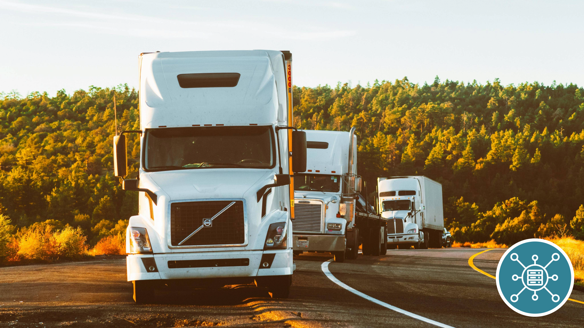 Three white semitrucks parked along a curved road with a forested background during golden hour.
