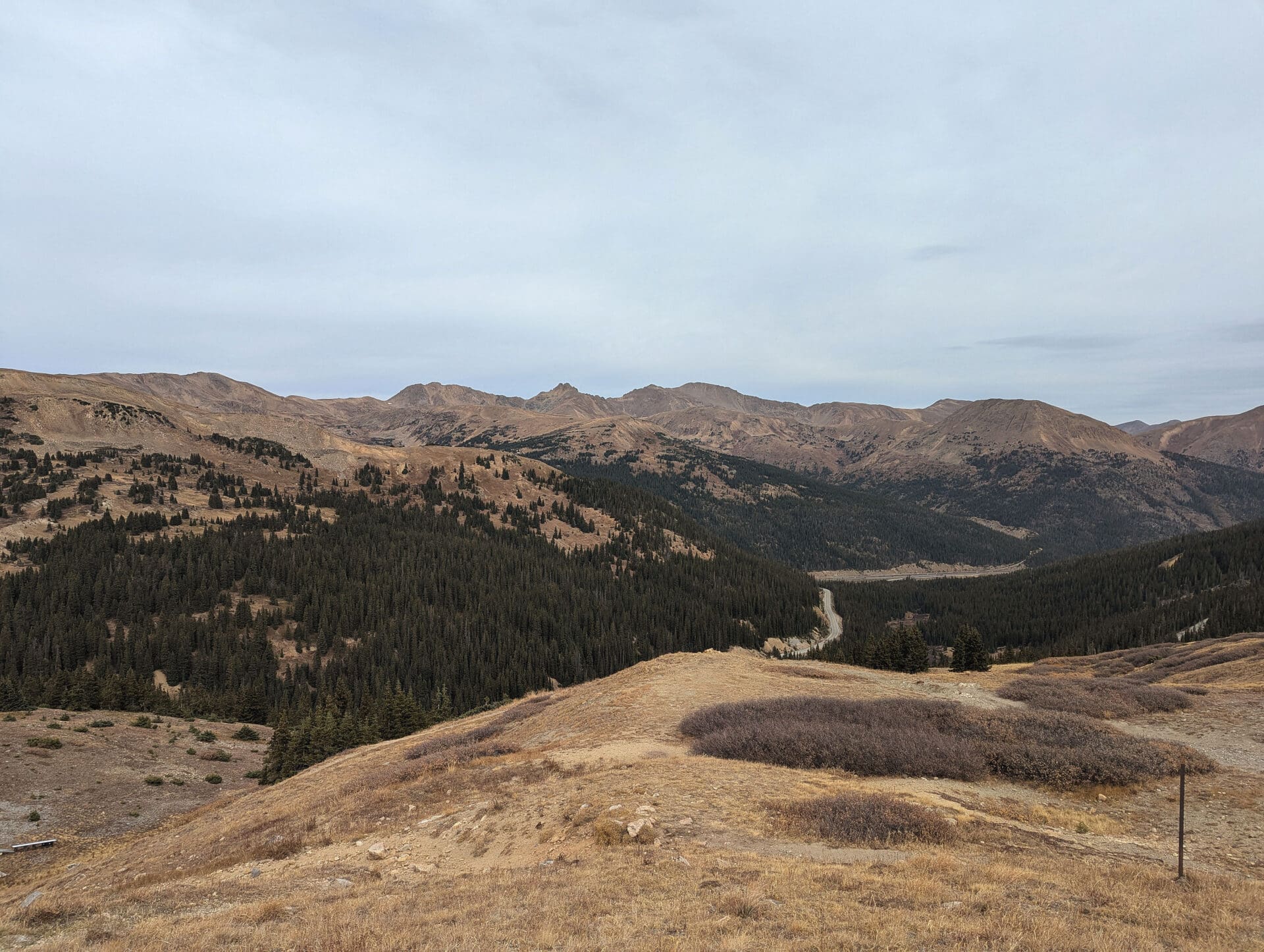 Photograph of a mountainous landscape featuring dry grassy hills in the foreground and dense evergreen forests covering mid-level slopes.