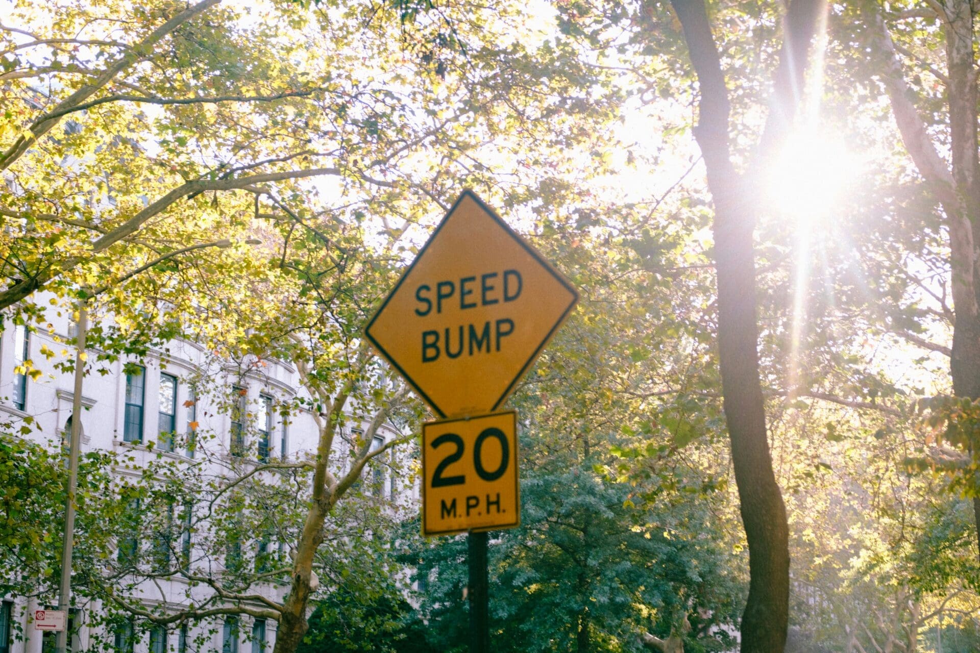 Photograph of a yellow diamond-shaped traffic sign indicating a speed bump with a 20 M.P.H. speed limit below it. The sign is set against a backdrop of trees with sunlight filtering through leaves and a white building partially visible on the left.