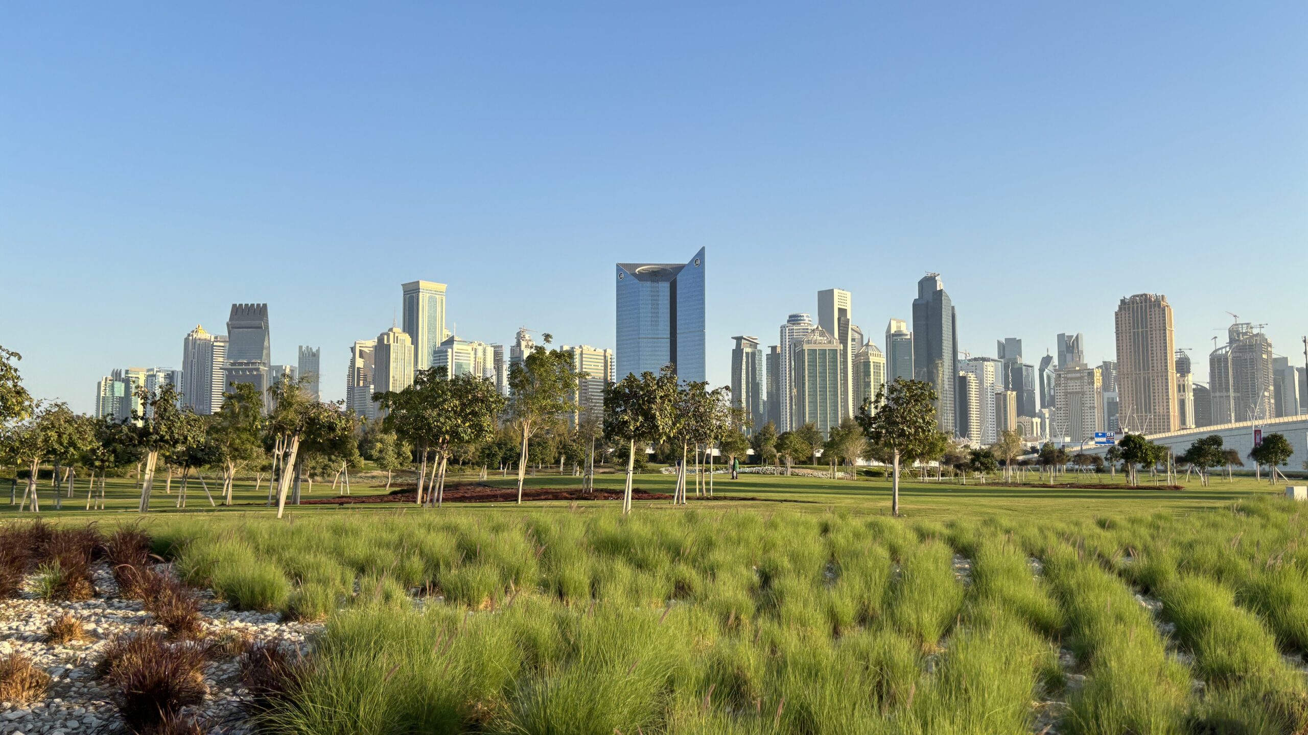 Photograph showcasing a modern city skyline beyond a landscaped urban park under a clear blue sky. Foreground features native grasses, gravel beds, young trees, and a paved walkway, with dense high-rise towers and a blue-glass skyscraper forming a prominent background.